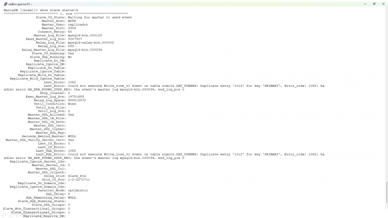Archivo:Status slave V51.png