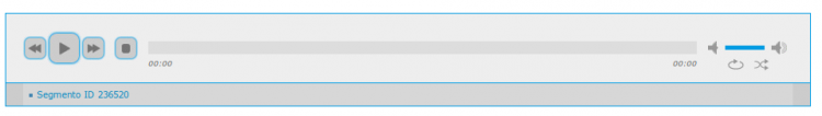 1.4 Reproducion por web del segmento.png